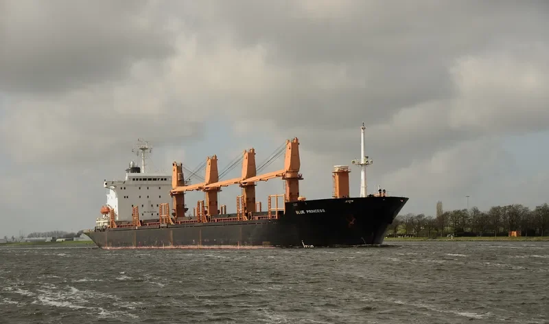 BLUE PRINCESS General Cargo IMO 8311077 photo 4