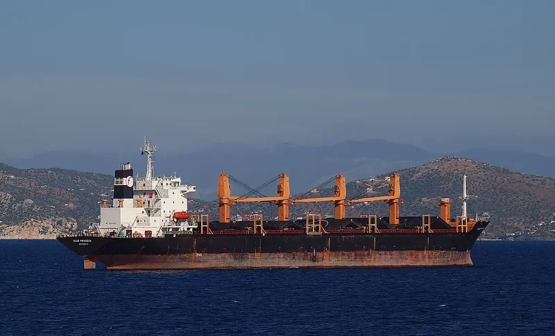 BLUE PRINCESS General Cargo IMO 8311077 photo 5