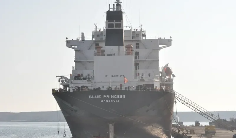 BLUE PRINCESS General Cargo IMO 8311077 photo 6