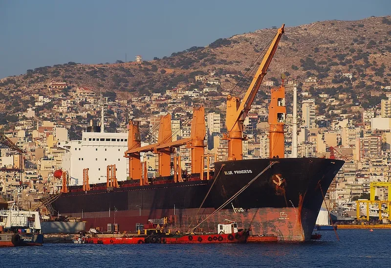 BLUE PRINCESS General Cargo IMO 8311077 photo 7