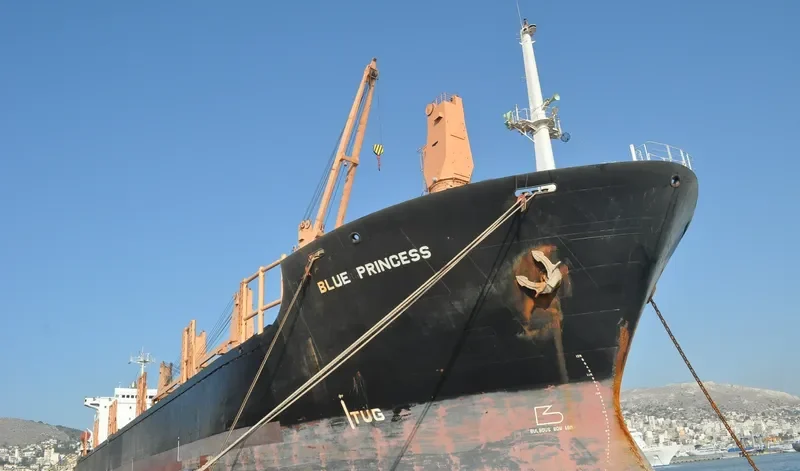BLUE PRINCESS General Cargo IMO 8311077 photo 8