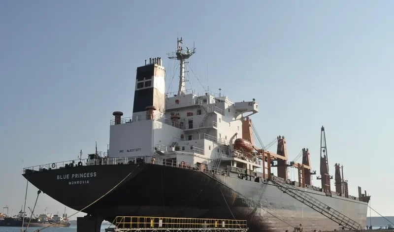 BLUE PRINCESS General Cargo IMO 8311077 photo 9