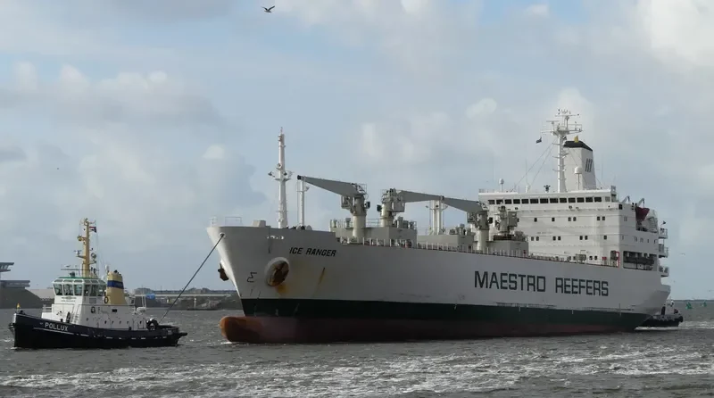 ICE RANGER General Cargo IMO 8311132 photo 3
