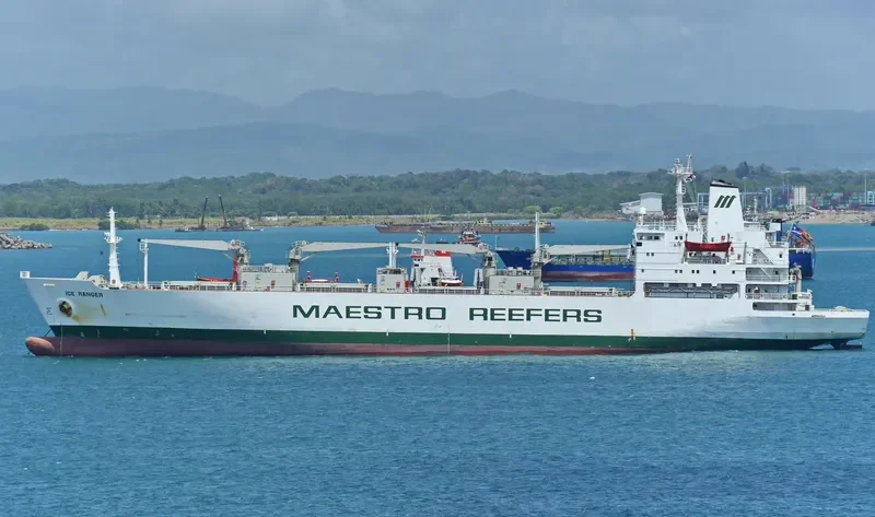 ICE RANGER General Cargo IMO 8311132 photo 8