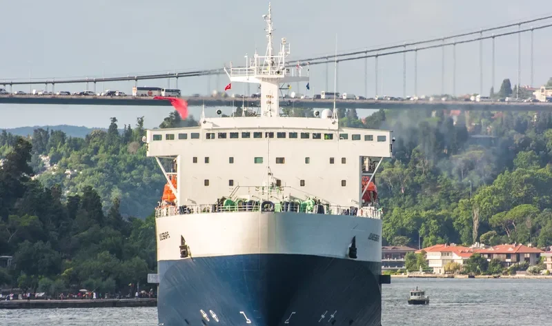 VILNIUS Ro-Ro IMO 8311900 photo 8