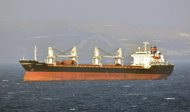 SKIPPERS Y Bulk Carrier IMO 8312095