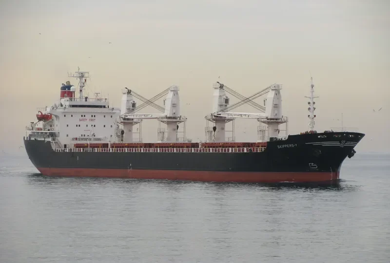 SKIPPERS Y Bulk Carrier IMO 8312095 photo 5