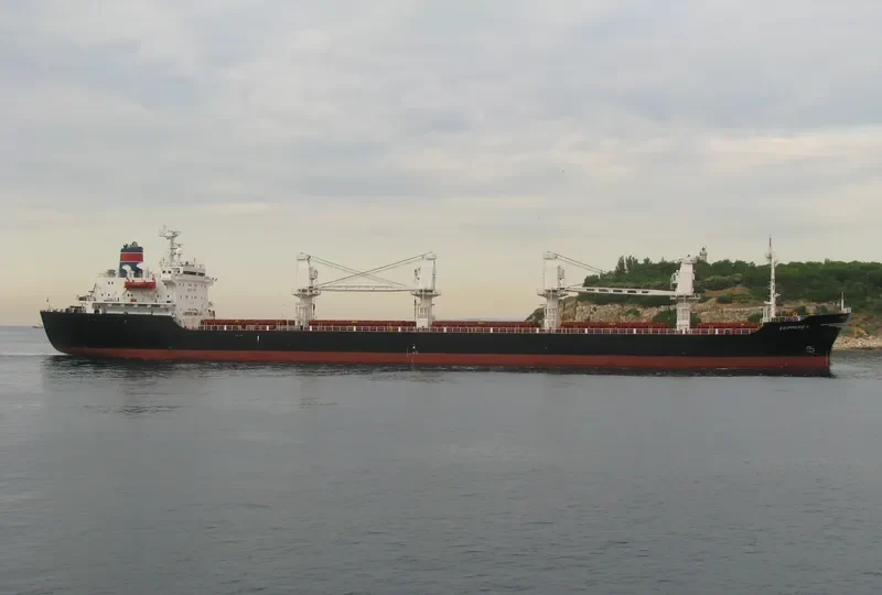 SKIPPERS Y Bulk Carrier IMO 8312095 photo 6