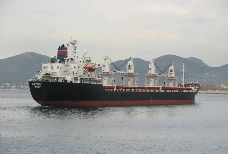SKIPPERS Y Bulk Carrier IMO 8312095 photo 7