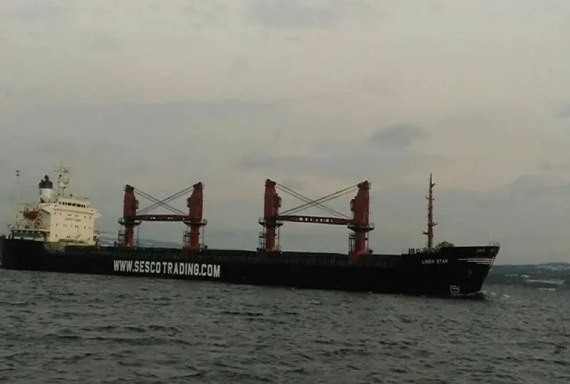 LINDA STAR Bulk Carrier IMO 8312100