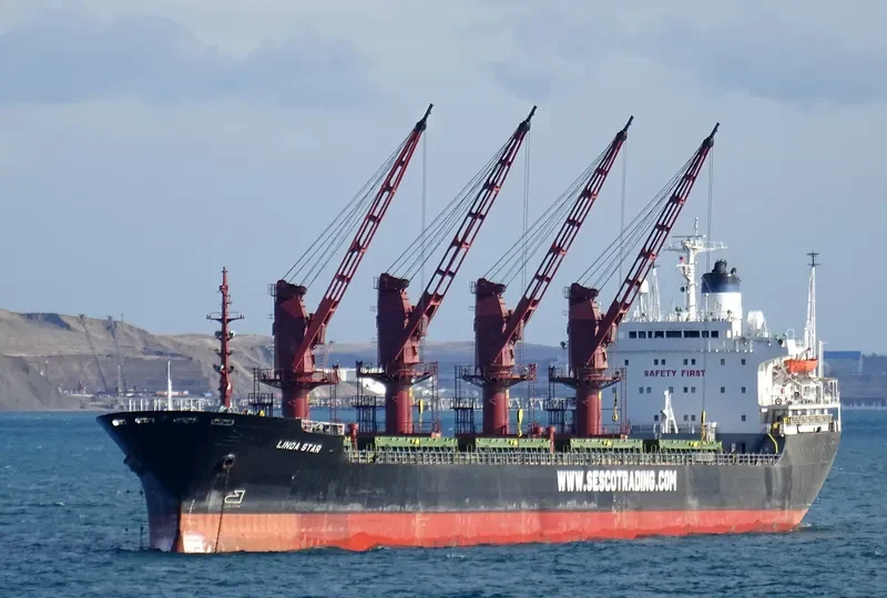 LINDA STAR Bulk Carrier IMO 8312100 photo 3