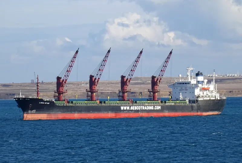LINDA STAR Bulk Carrier IMO 8312100 photo 4