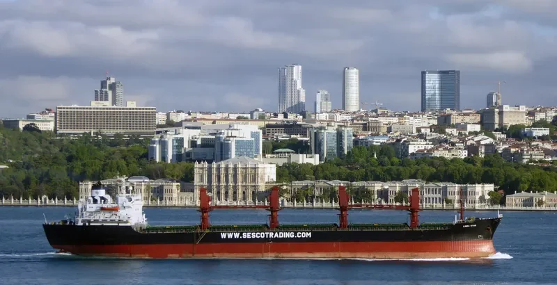 LINDA STAR Bulk Carrier IMO 8312100 photo 7
