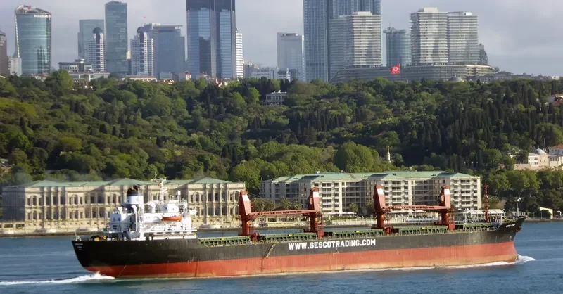 LINDA STAR Bulk Carrier IMO 8312100 photo 8