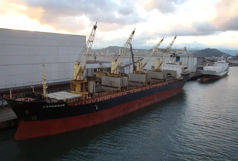LANGERON Bulk Carrier IMO 8312136