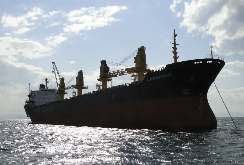 LANGERON Bulk Carrier IMO 8312136 photo 3