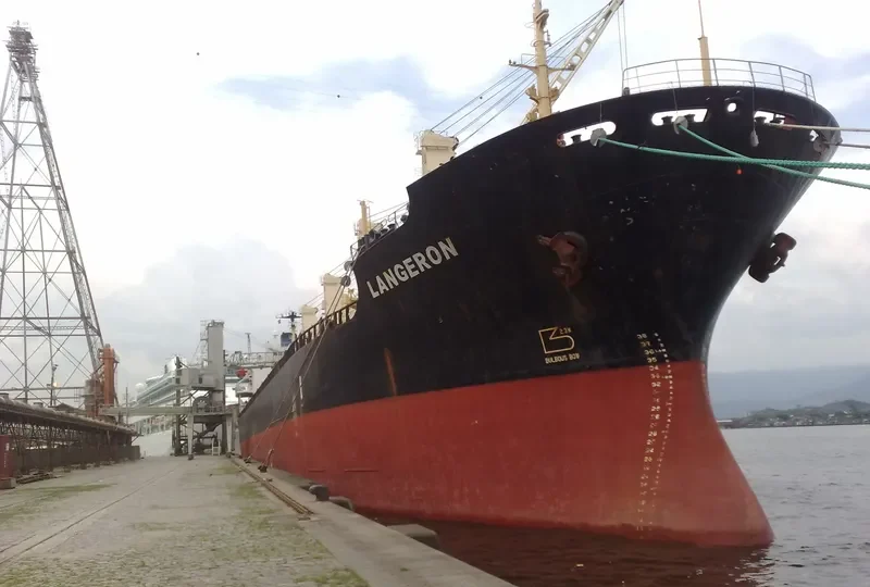 LANGERON Bulk Carrier IMO 8312136 photo 4
