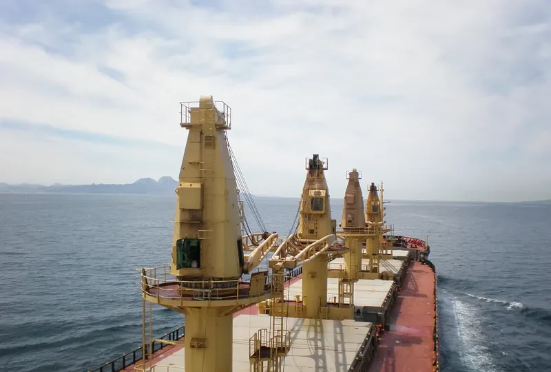 LANGERON Bulk Carrier IMO 8312136 photo 5
