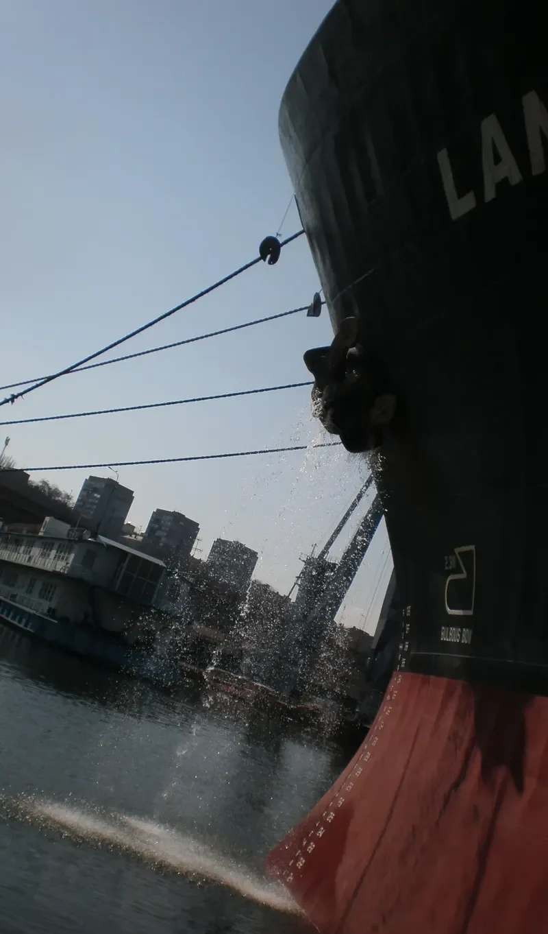 LANGERON Bulk Carrier IMO 8312136 photo 6
