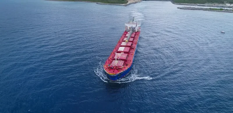 BERNARDO QUINTANA A. Bulk Carrier IMO 8312215 photo 2