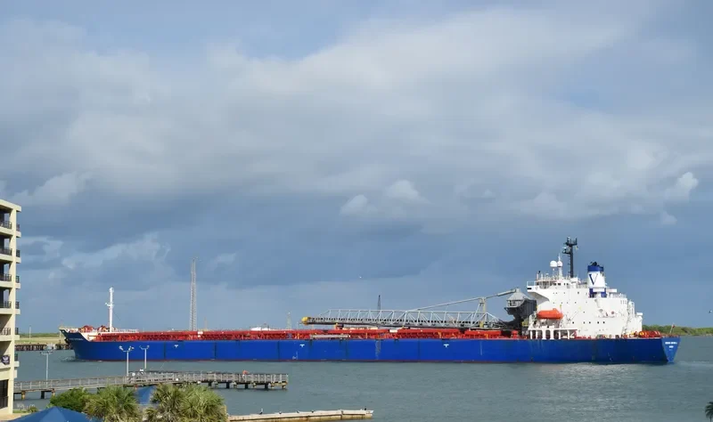 BERNARDO QUINTANA A. Bulk Carrier IMO 8312215 photo 3