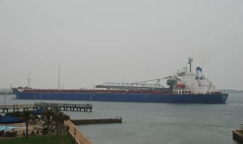 BERNARDO QUINTANA A. Bulk Carrier IMO 8312215 photo 5