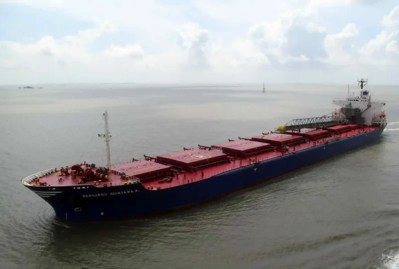 BERNARDO QUINTANA A. Bulk Carrier IMO 8312215 photo 8