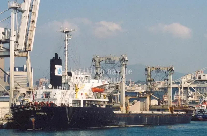 THEODORE JR Bulk Carrier IMO 8312629