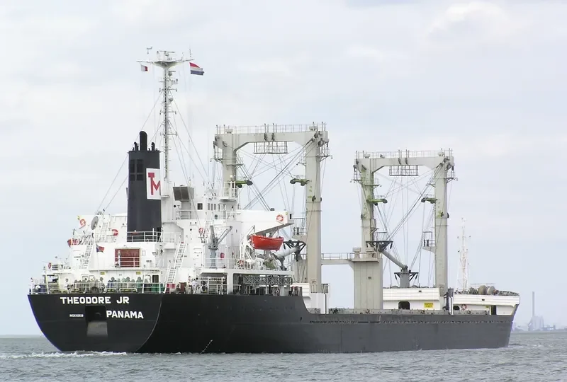 THEODORE JR Bulk Carrier IMO 8312629 photo 4
