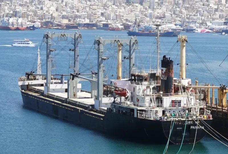 THEODORE JR Bulk Carrier IMO 8312629 photo 6