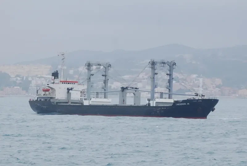 THEODORE JR Bulk Carrier IMO 8312629 photo 8