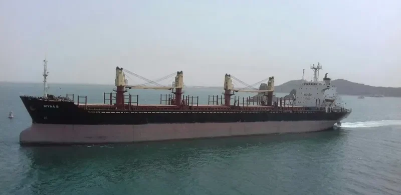DIYAA B Bulk Carrier IMO 8312708