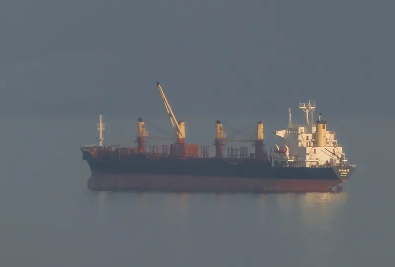DIYAA B Bulk Carrier IMO 8312708 photo 3