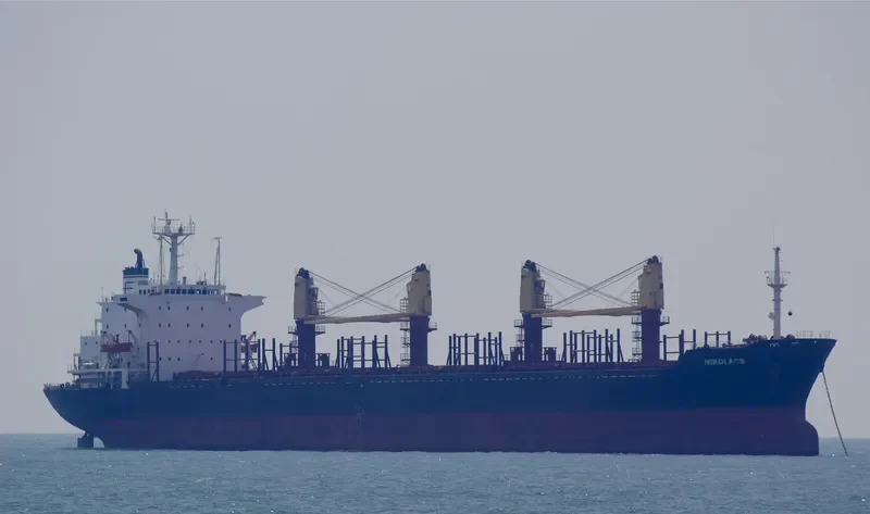DIYAA B Bulk Carrier IMO 8312708 photo 4