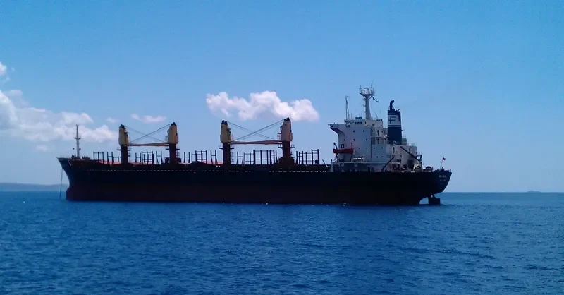 DIYAA B Bulk Carrier IMO 8312708 photo 7