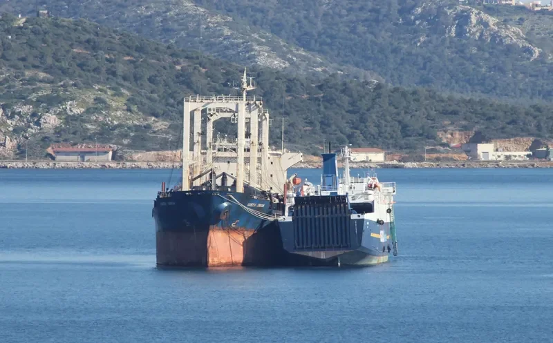GREEN ARROW Bulk Carrier IMO 8313063