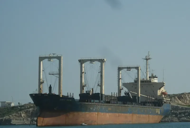 GREEN ARROW Bulk Carrier IMO 8313063 photo 4
