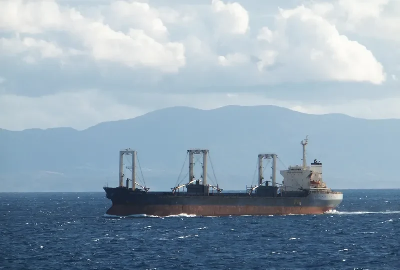 GREEN ARROW Bulk Carrier IMO 8313063 photo 7