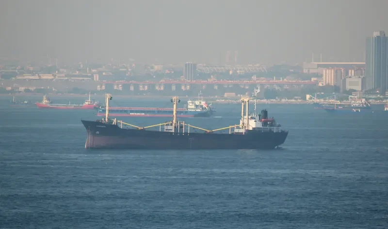ST.ELIZABETH General Cargo IMO 8313104 photo 3
