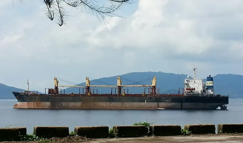 NAGIL BATAR Bulk Carrier IMO 8313130