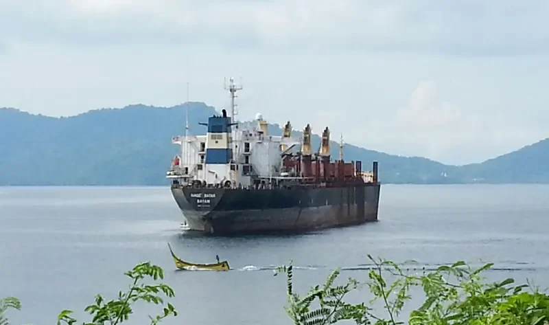 NAGIL BATAR Bulk Carrier IMO 8313130 photo 2