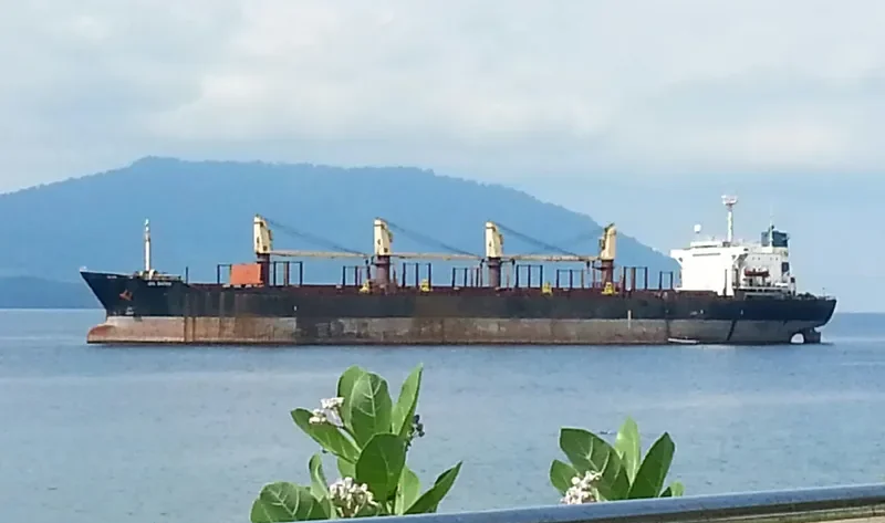 NAGIL BATAR Bulk Carrier IMO 8313130 photo 3