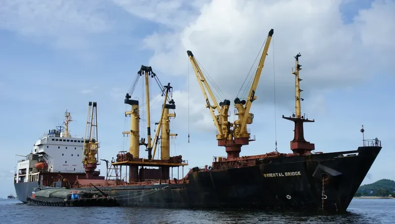 ORIENTAL BRIDGE General Cargo IMO 8314639