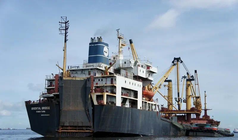 ORIENTAL BRIDGE General Cargo IMO 8314639 photo 2
