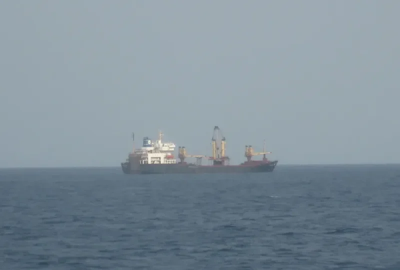 ORIENTAL BRIDGE General Cargo IMO 8314639 photo 5