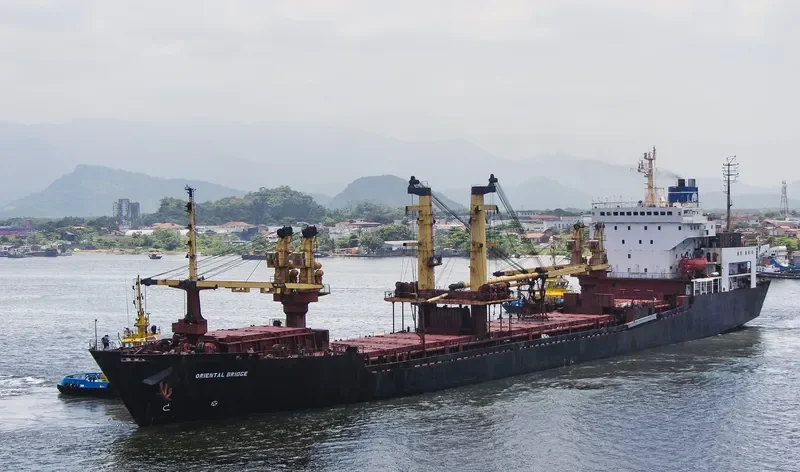 ORIENTAL BRIDGE General Cargo IMO 8314639 photo 7