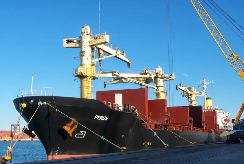 PERUN General Cargo IMO 8314823