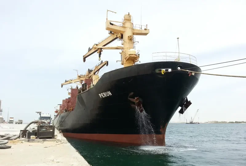 PERUN General Cargo IMO 8314823 photo 3