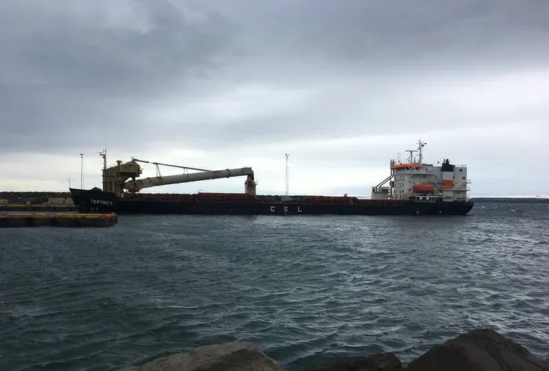 IMPALA Bulk Carrier IMO 8315554 photo 6