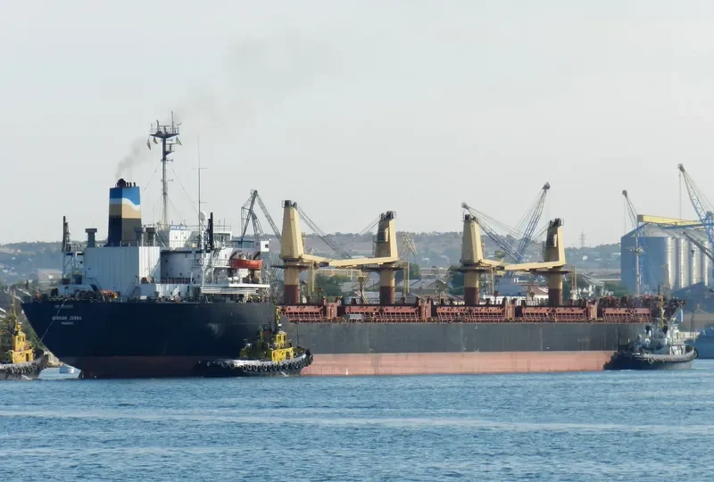 TRADELINK Bulk Carrier IMO 8315920 photo 3